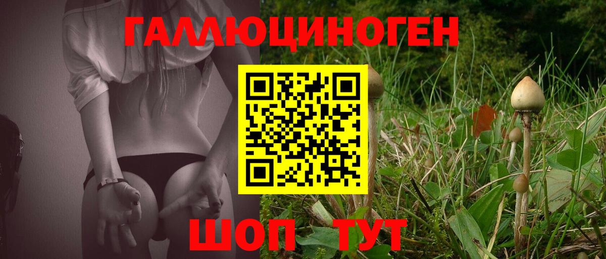 Галлюциногенные грибы Psilocybine cubensis  Галлюциногенные грибы Psilocybe  Вход с VPN  Воркута 